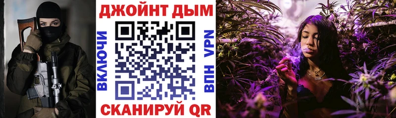 Конопля сатива  Ковылкино 